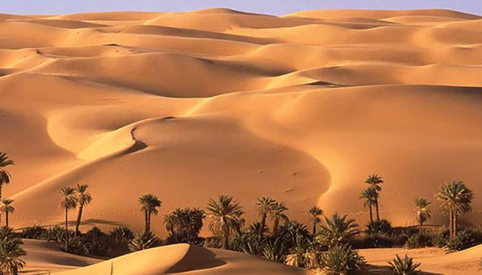 4 Days White Desert and Bahariya Oasis