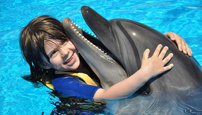 Dolphin Show Trip From Hurghada