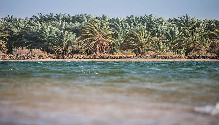 4-Day 3-Night Bahariya, Black & White Desert Adventure – 2 Nights Hotel & 1 Night Camping