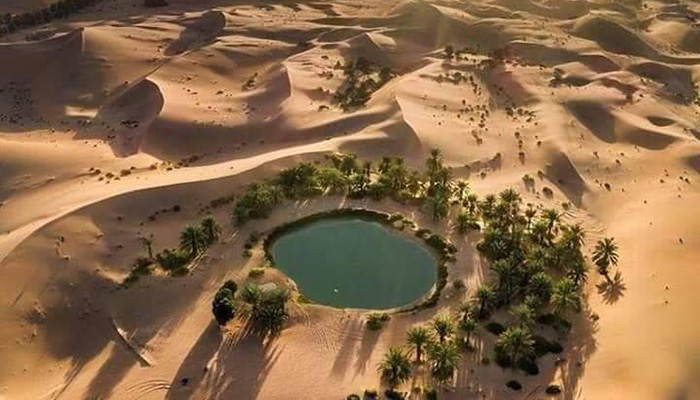 Overnight Bahariya Oasis Adventure