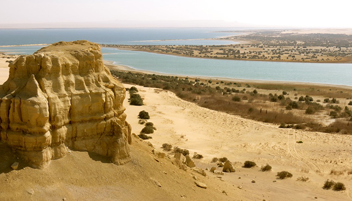 Overnight Fayoum from Cairo